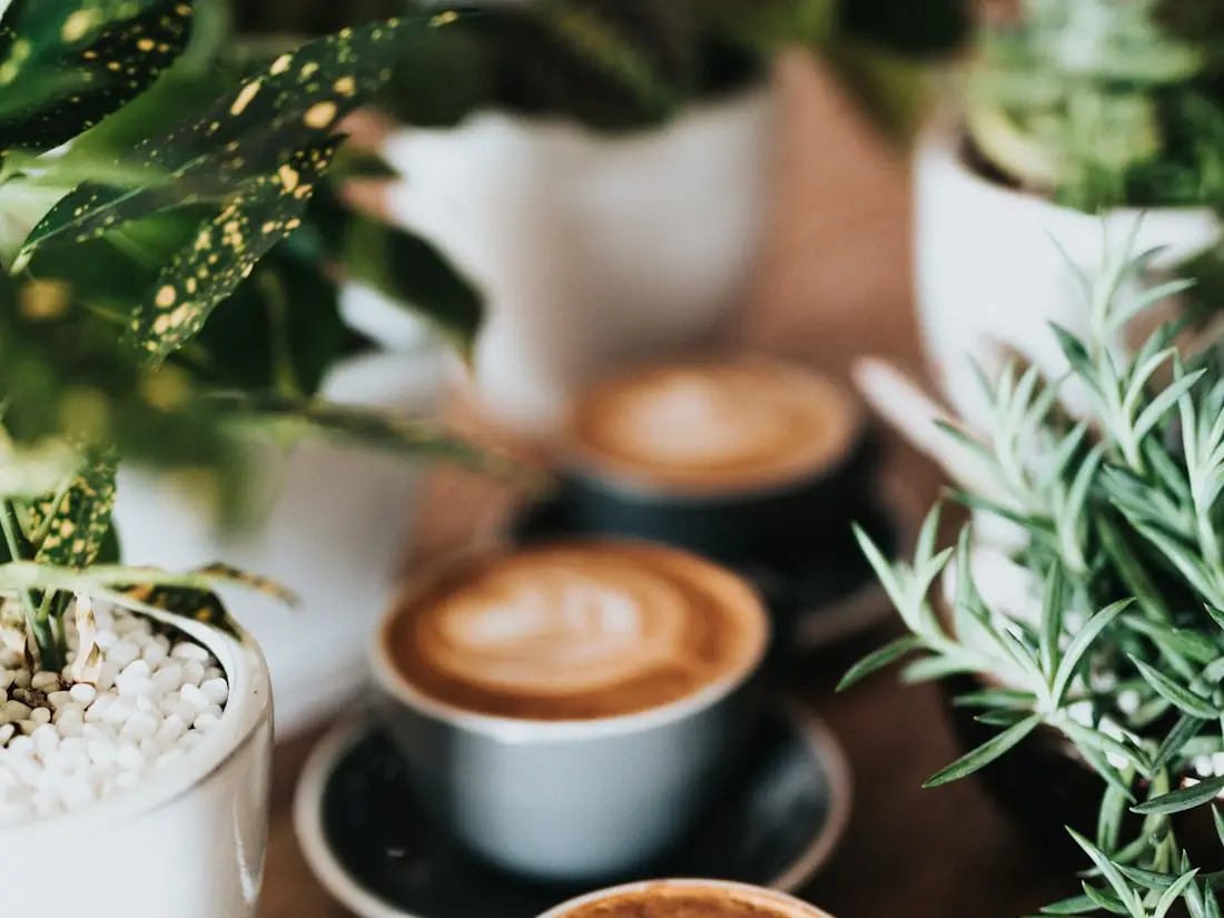 Mehrere Tassen Cappuccino auf einem Tisch in einem Café